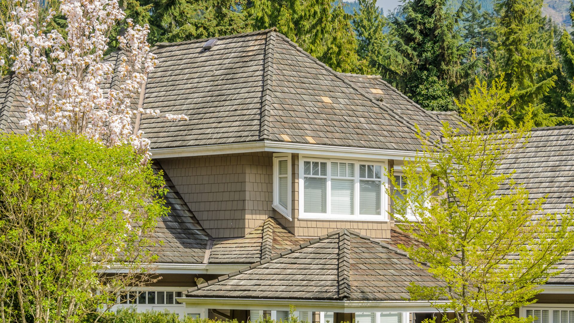 A suburban home with multi-level sloping roofs and a few missing shingles, surrounded by trees.