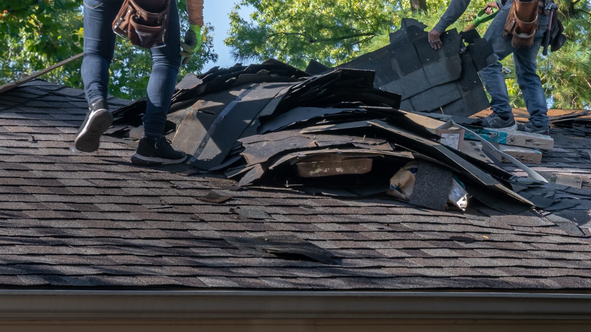 Roofers are tearing up shingles that are too curled and brittle to be saved.