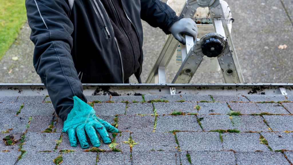 A woker wearing a blue jacket and teal rubber gloves stands on a metal ladder inspecting the moss coverage of a roof prior to cleaning it.